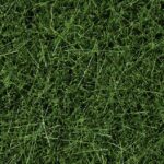 Fibre 6 mm : Herbe vert foncé, 50g