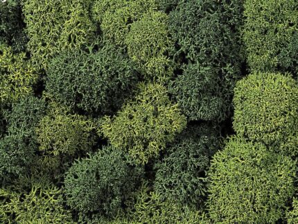 Mousse de décor vert clair et foncé, 75 g