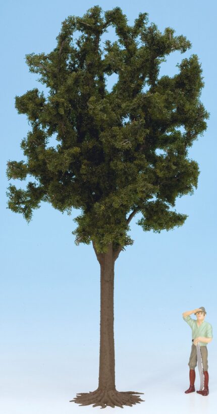 Arbre feuillu, hauteur 40 cm